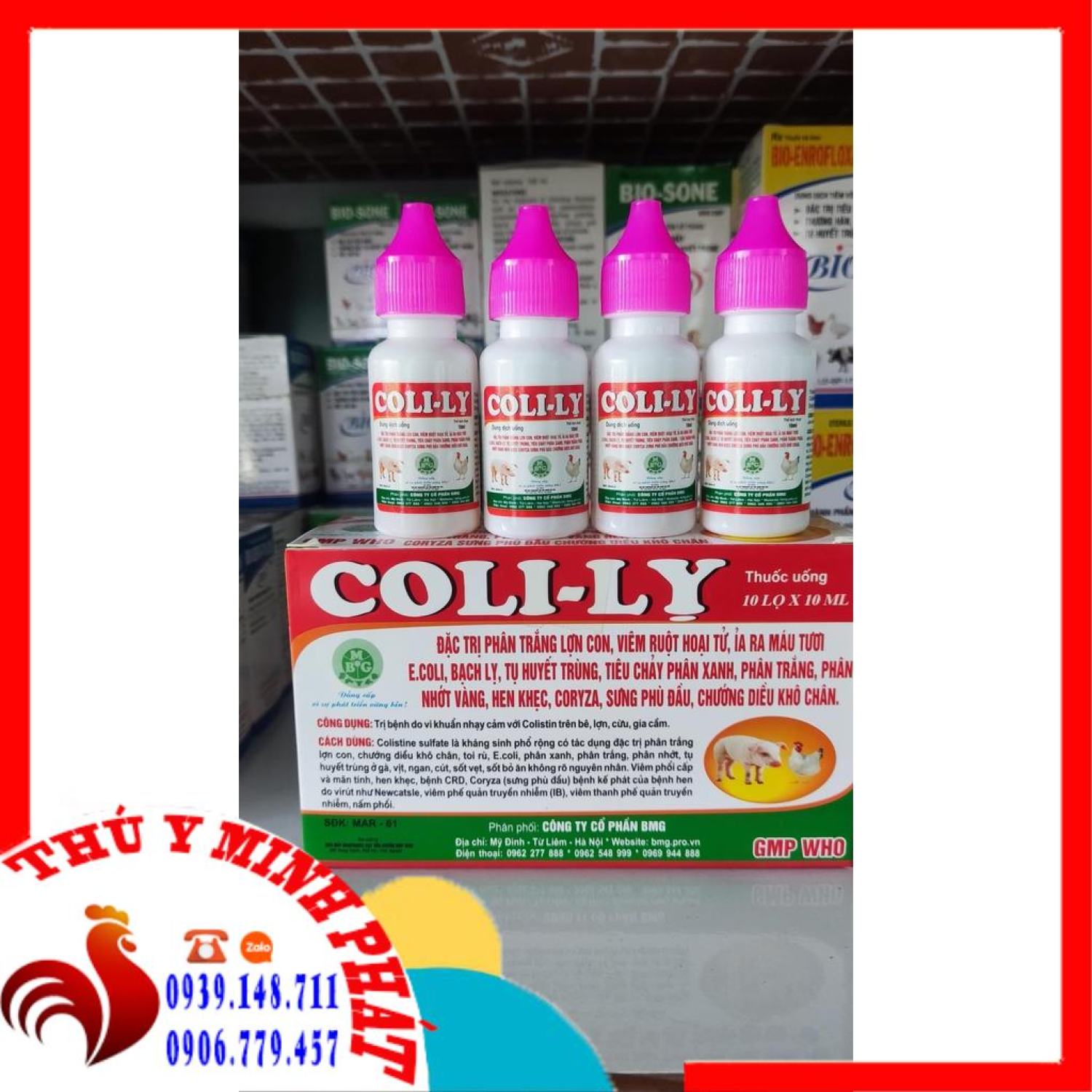 Coli lỵ 10ml - phân xanh phân trắng