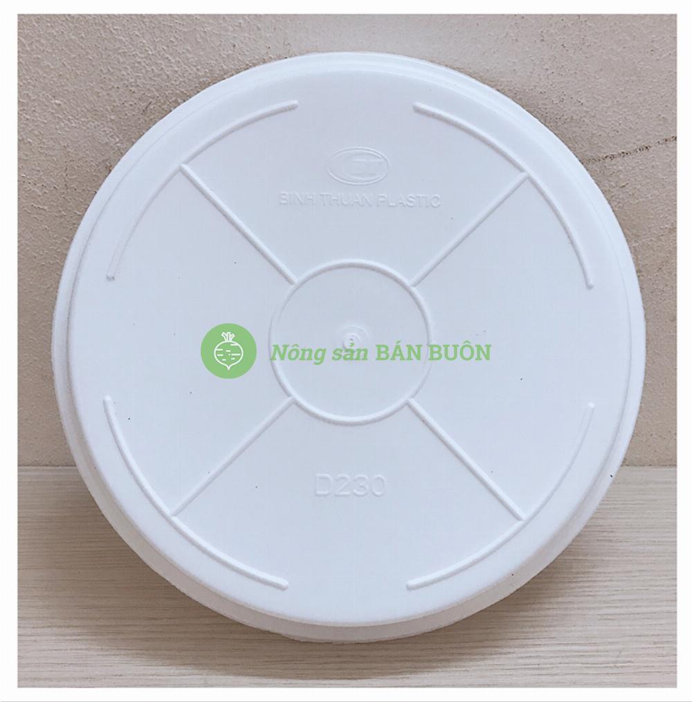 3 Khay (Đĩa) Lót Đế Chậu D230 Binh Thuan Plastics - Màu Trắng
