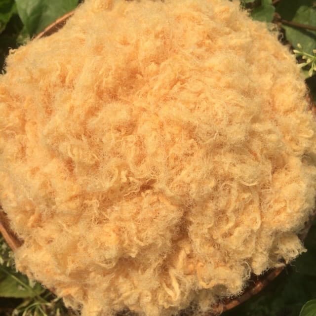 Chà Bông Loại Ngon - 250G