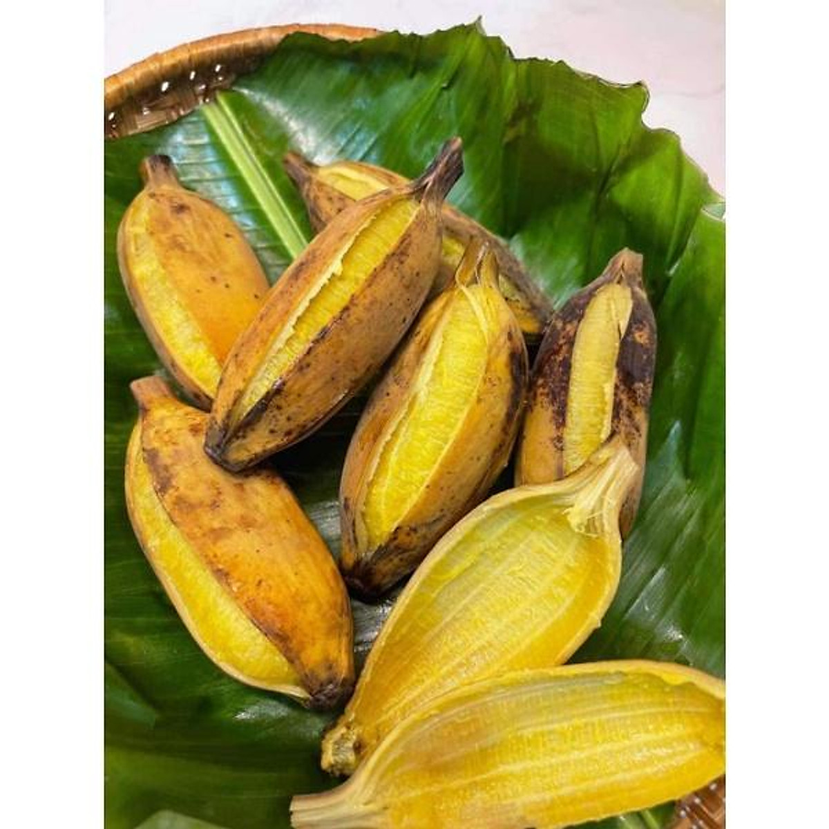 Cây Giống Chuối Sáp Nghệ