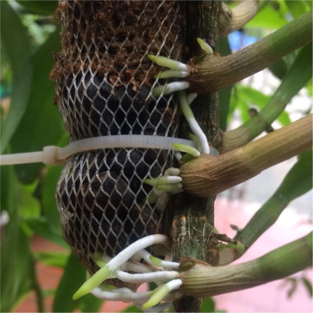 Túi lưới đựng phân dê, phân hữu cơ