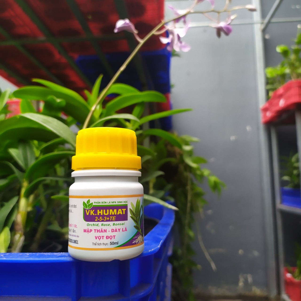 Mập Thân - Dày Lá - Vọt Đọt VK Humat 50g