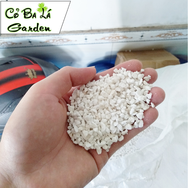 Đá Perlite-Đá Trân Châu (200gr) trồng sen đá và xương rồng