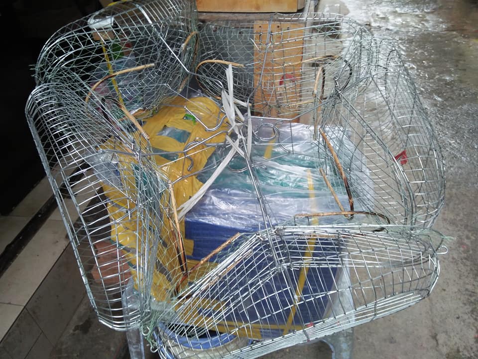 Lồng bẫy chim chích chèo lửa