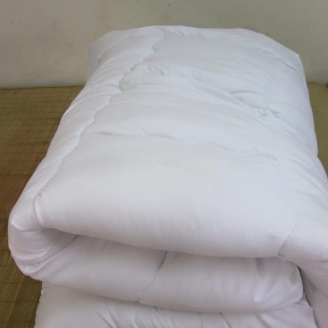 Ruột Chăn Bông Tinh Khiết giá siêu rẻ