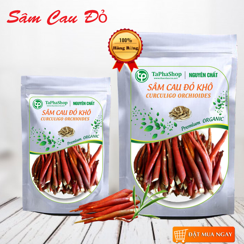 Sâm cau đỏ khô 100g - Thảo Dược Tấn Phát