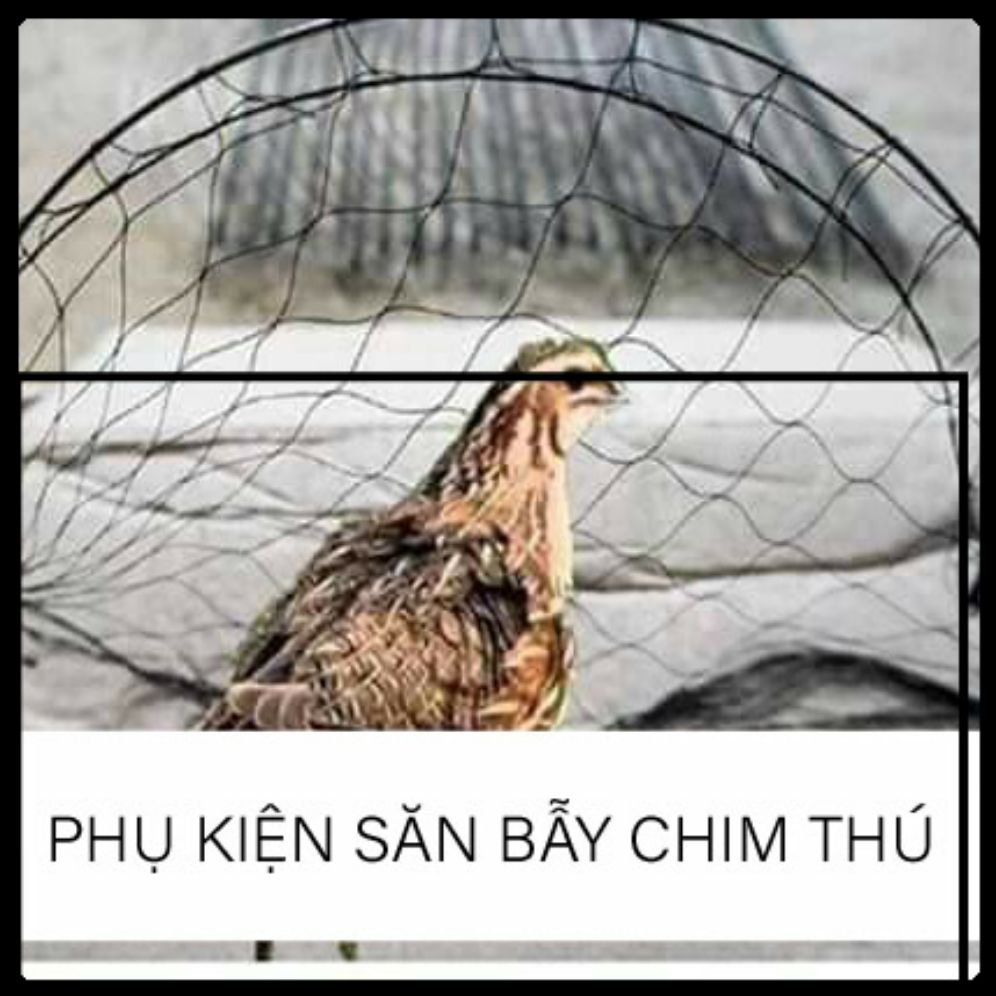 10 cung bẫy cút màu đen tầng hình