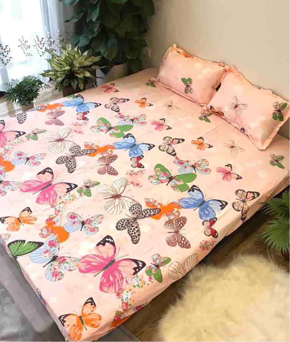 (FreeShip MAX) BỘ GA GỐI COTTON VNXK - BƯỚM CAM Beding shop-  drap giường, ga giường, ra giường, drap trải giường,ga trải giường, drap trải giường đẹp ga trải giường cưới, bộ ga trải nệm mát, ga giường cưới,Ga giường spa