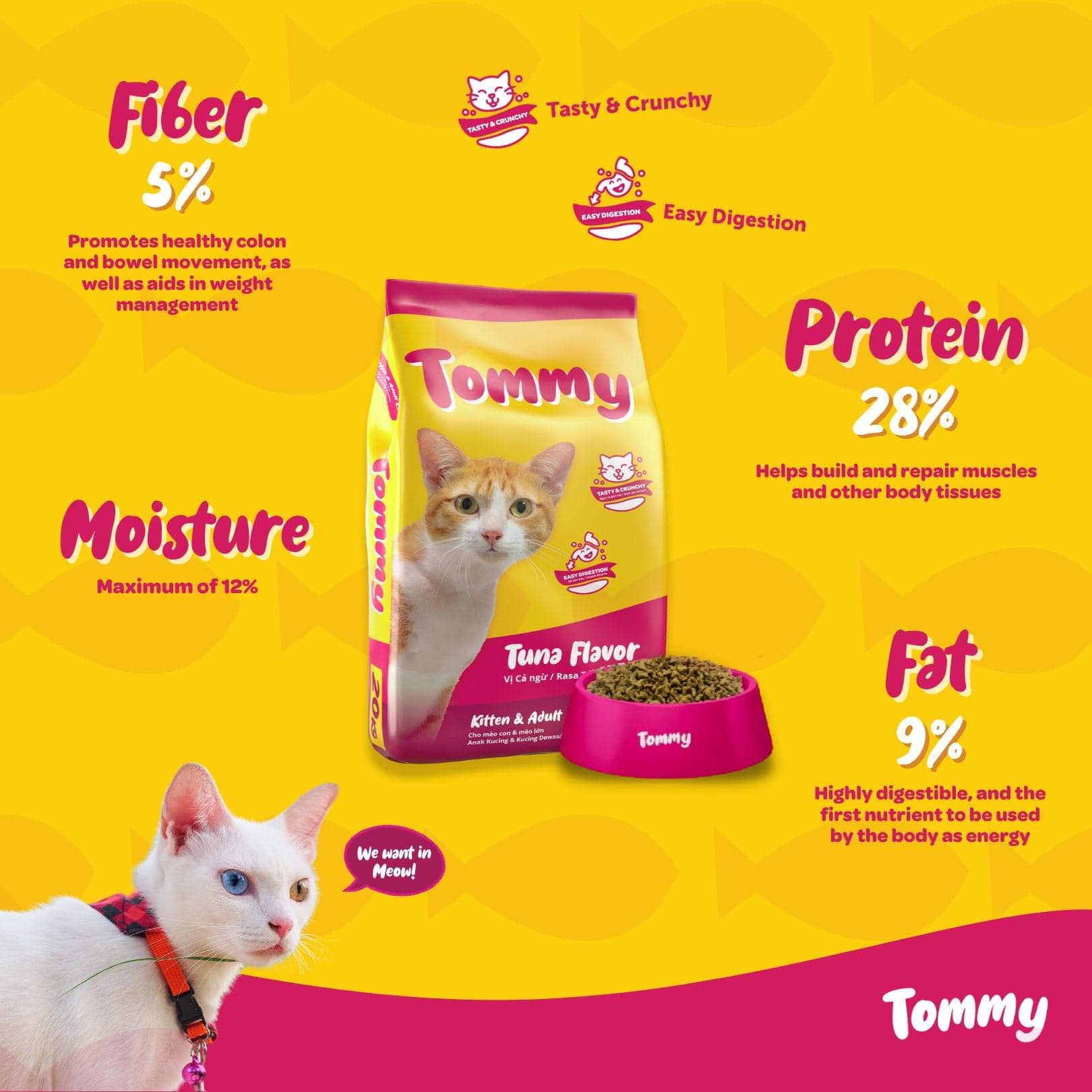 Hạt Cho Mèo Mọi Lứa Tuổi Tommy 500g (Philippines) - Vị Cá Ngừ - [Nông Trại Thú Cưng]
