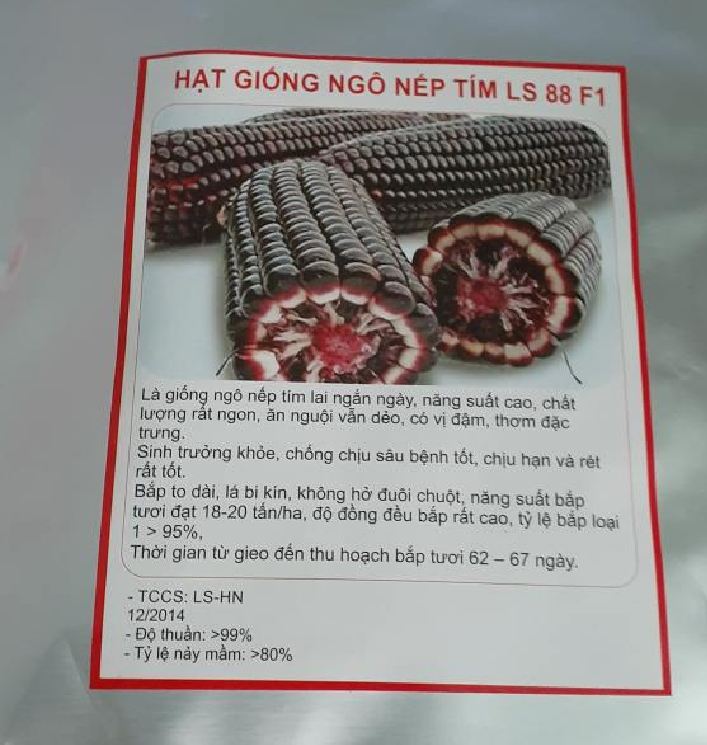 Hạt giống ngô nếp tím lai- gói 100gr(tặng kèm phân bón)