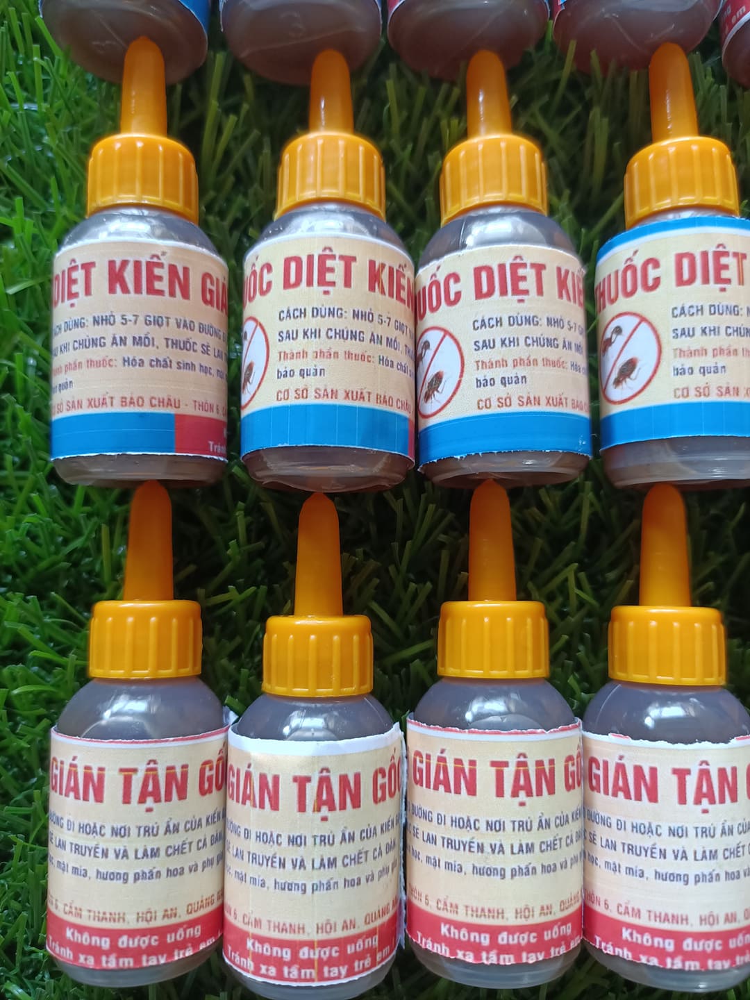 10 lọ thuốc diệt kiến gián tận gốc sinh học