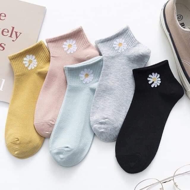 Combo 10 đôi TẤT HOA CÚC HOTTREND