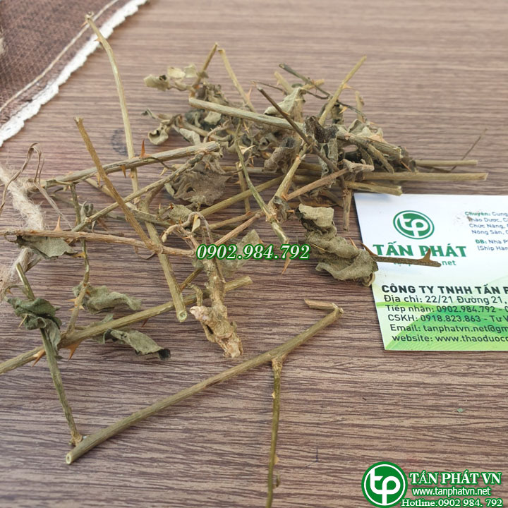 Cà gai leo 1kg cao cấp