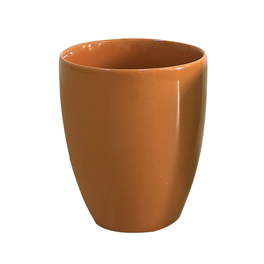 Bộ 6 ly sứ Donghwa C1409-05S6