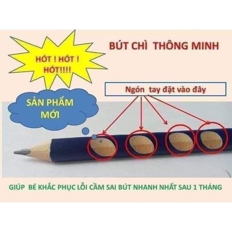 Hộp 12 bút chì gỗ định vị LD01 2B made in Việt Nam nét êm trơn