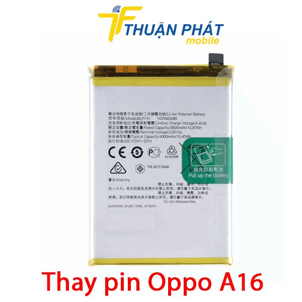 Pin a16k/blp- 817
