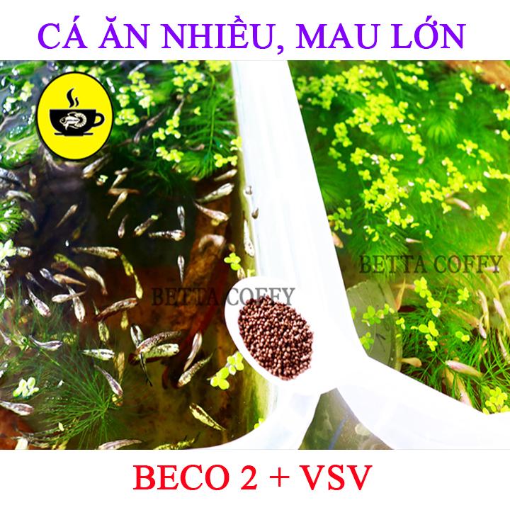 Combo 5 Chai Nuphar  BETTA COFFY ☕️