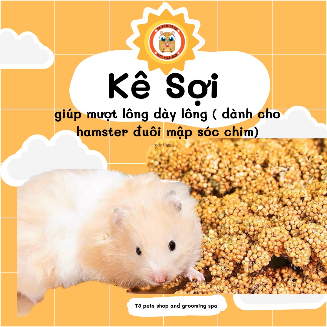 Kê sợi - giúp mượt lông dày lông (dành cho hamster đuôi mập sóc chim)