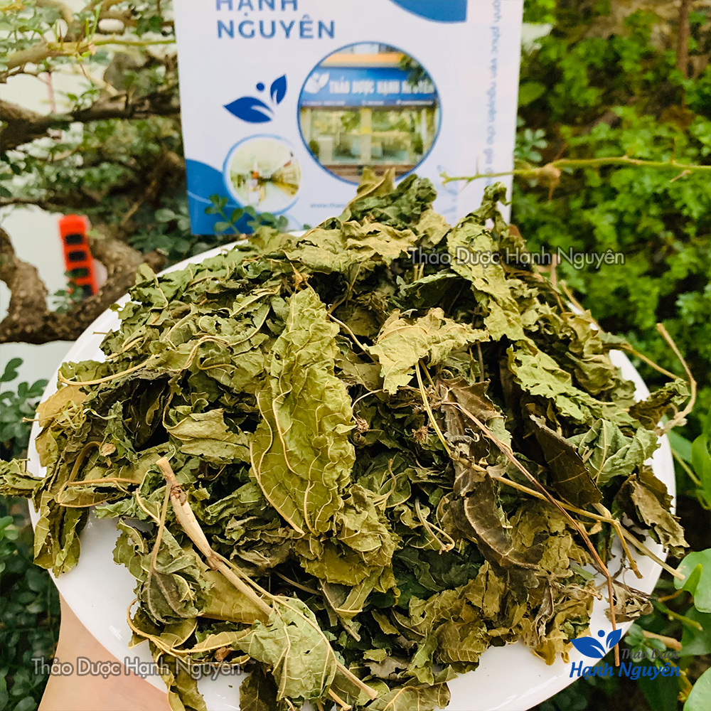 Dried Mulberry Leaves 500g (Tang Diệp)