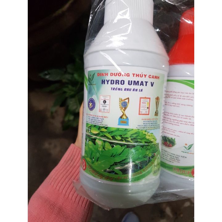 Dung dịch thuỷ canh cho rau ăn lá(1 cặp 2 lọ)