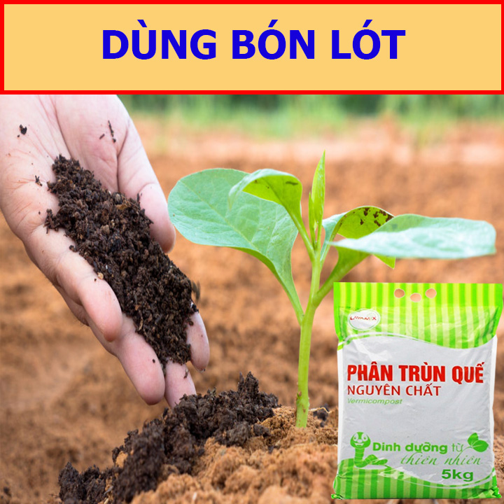 Phân Trùn Quế 5kg Lavamix
