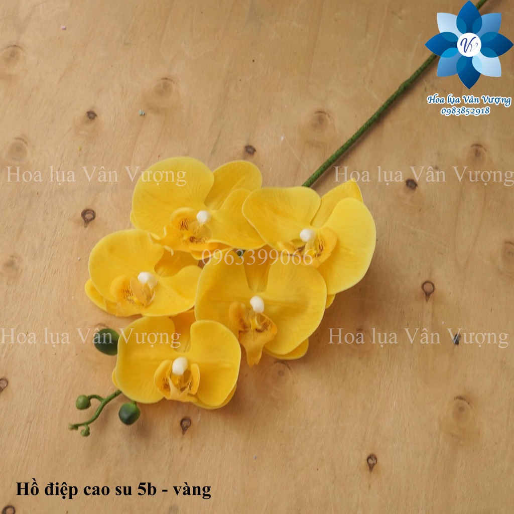Hoa lụa 🌺freeship🌺 lan hồ điệp cao su 5 bông