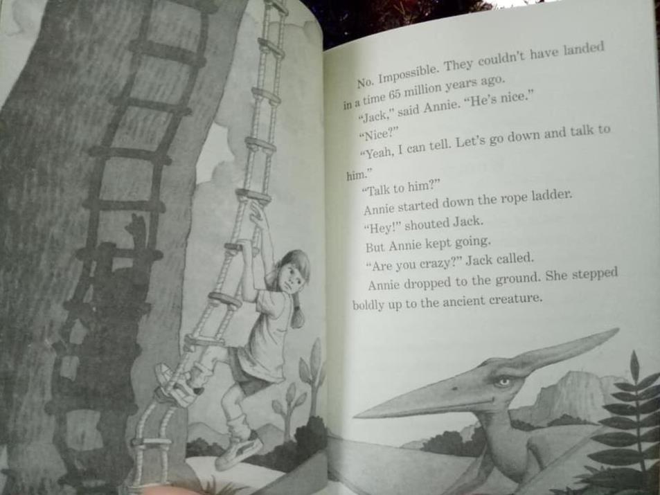 Magic Tree House Boxed Set - Sách nhập khẩu - Tâp 1 - 39 cuốn