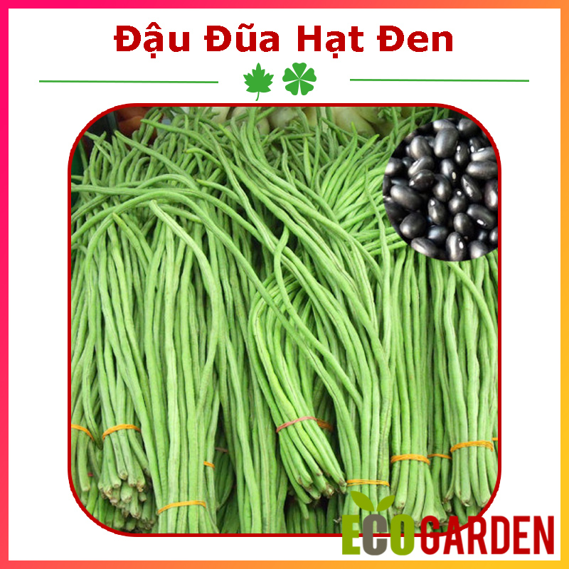 Hạt giống đậu đũa hạt đen 20 gam