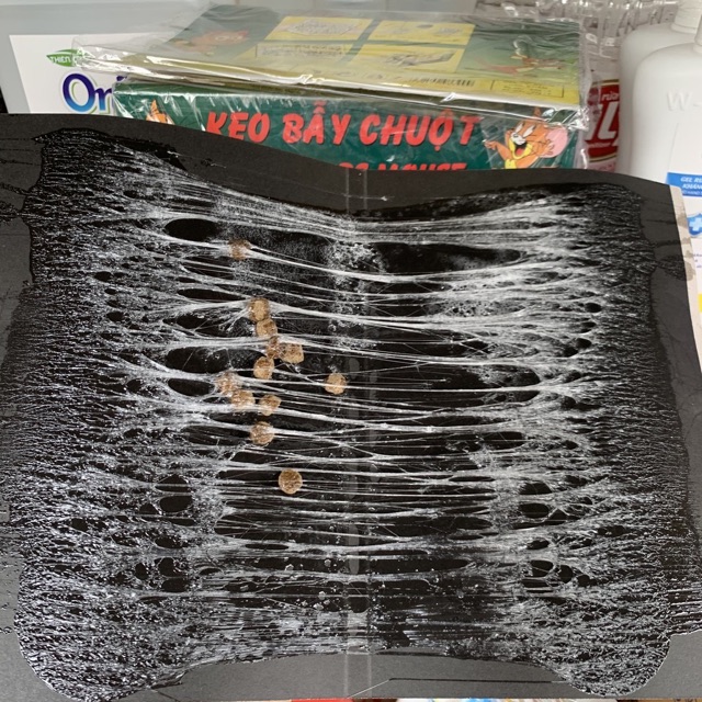 Keo dính chuột/ keo bẫy chuột(1 cái)