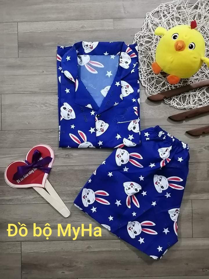 [HCM]Đồ Bộ pijama Kate Đùi  (mã 2)