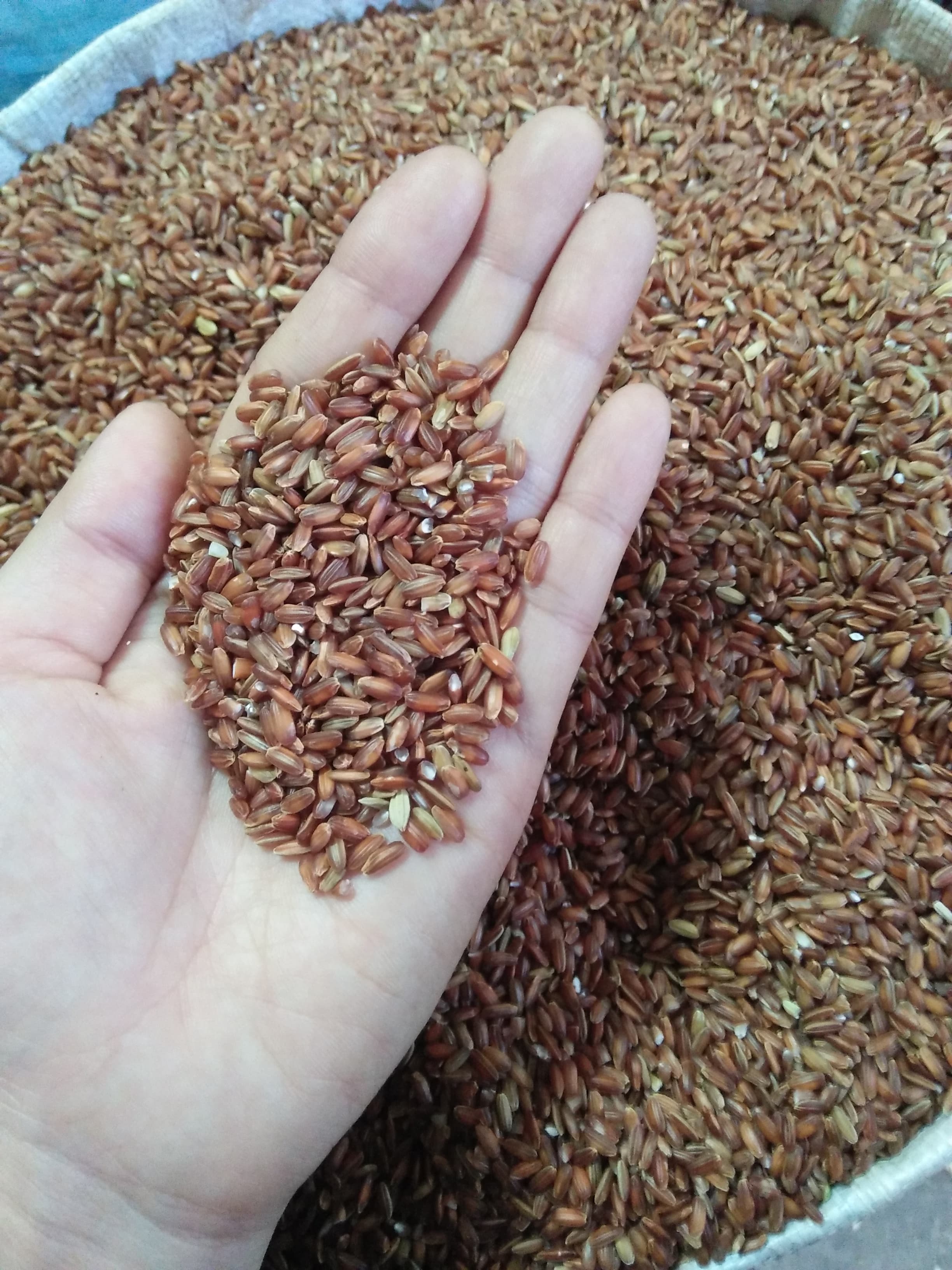 1kg GẠO LỨT HUYẾT RỒNG QUÊ - THƠM NGON