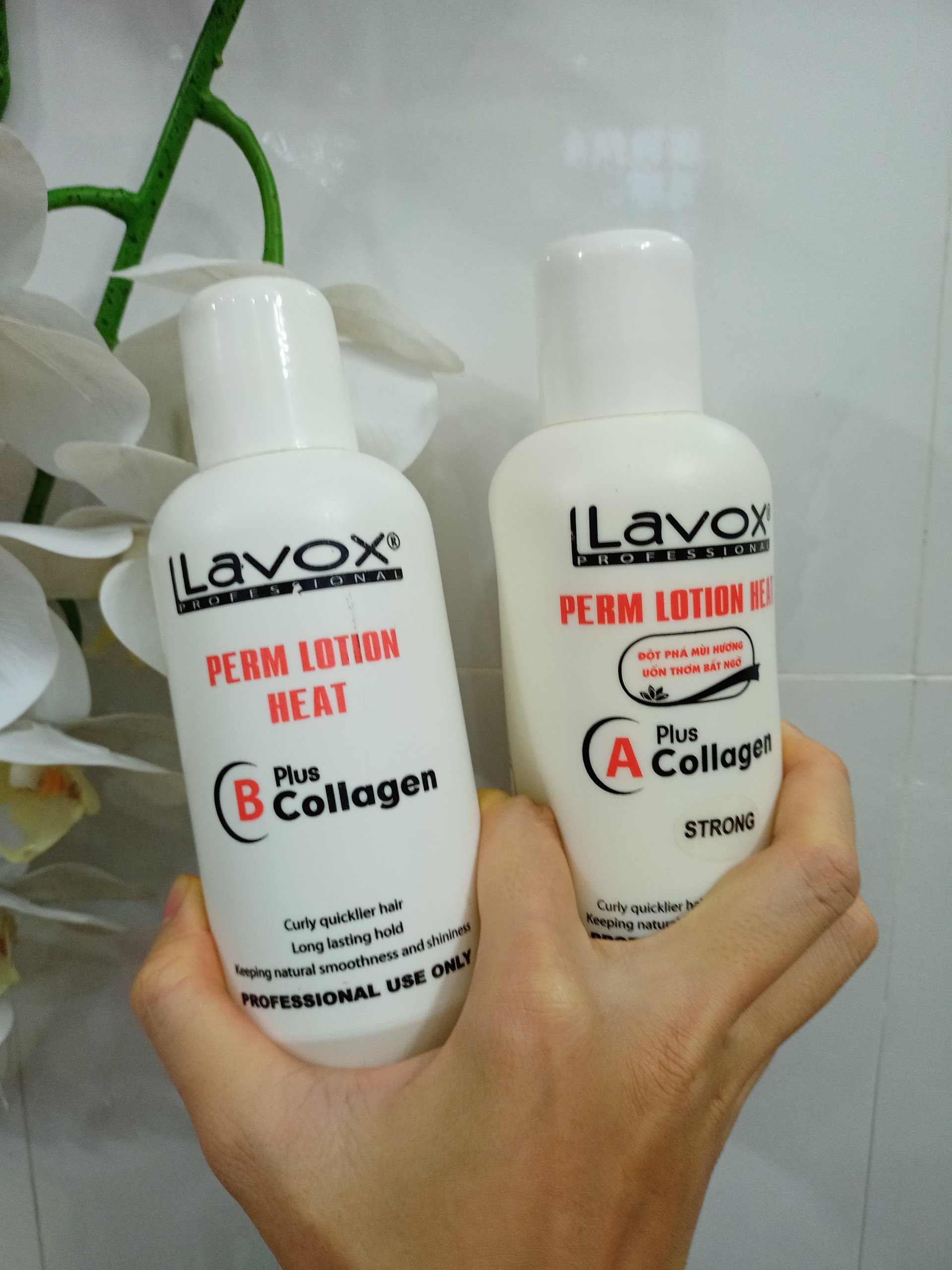 Uốn nóng setting Lavox thể tích 500mlx2 chai