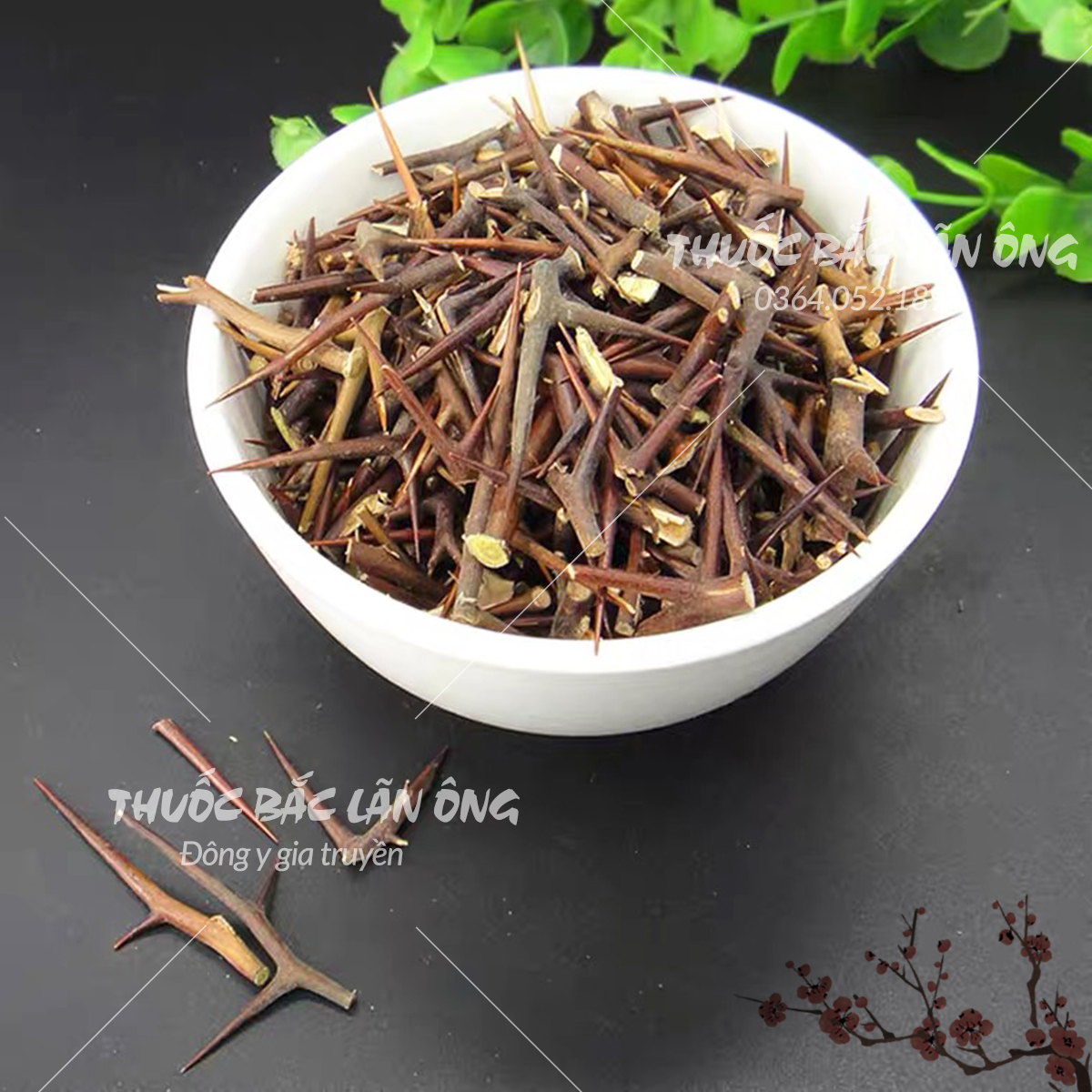 Gai bồ kết khô 1kg (Tạo giác thích)