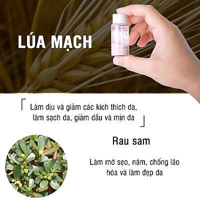 [HCM]Chấm Mụn MdoC AC Solution Powder Spot 15ml - Mụn Nam