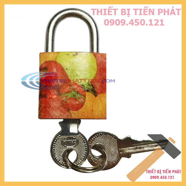 Ổ khoá tủ, túi xách, vali mini usc hàn quốc hoa văn đẹp 2p, 2p5 gồm 2 chìa khóa an toàn cao cấp chống trộm