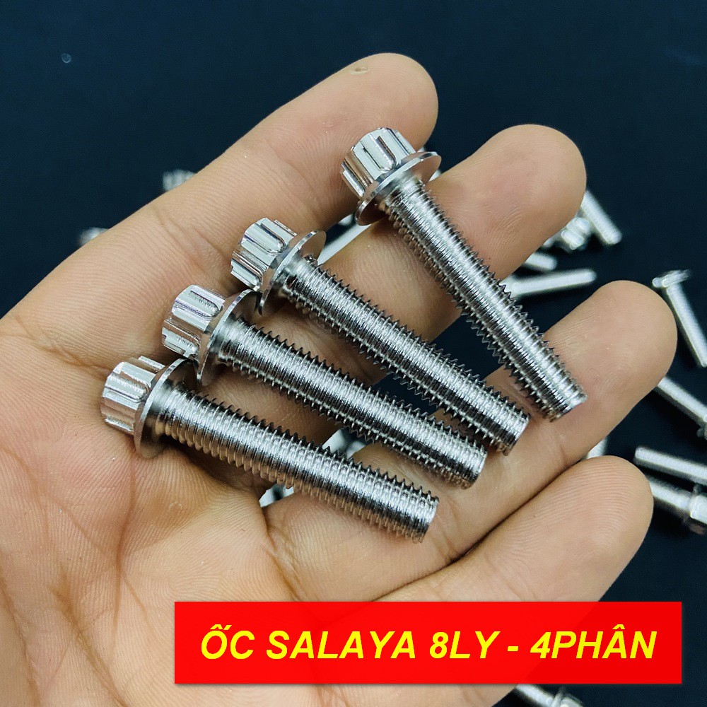 Ốc inox salaya 8li 40 “ vương miệng “ gắn ghi đông