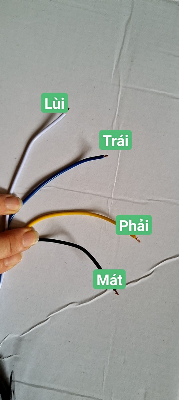 CÒI GIỌNG NÓI LÙI XIN NHAN