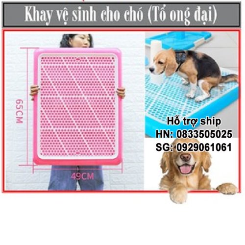Hanpet - Khay vệ sinh chó / khay đi vệ sinh thú cưng / khay đi vệ sinh cho chó / khay hứng kít chó / hướng dẫn chó đi vệ sinh đúng chỗ