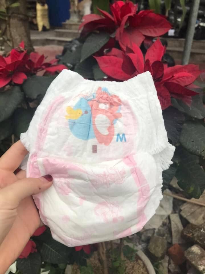 Tả quần Thạch Thảo Pabys XL38 miêng (13-17kg).
