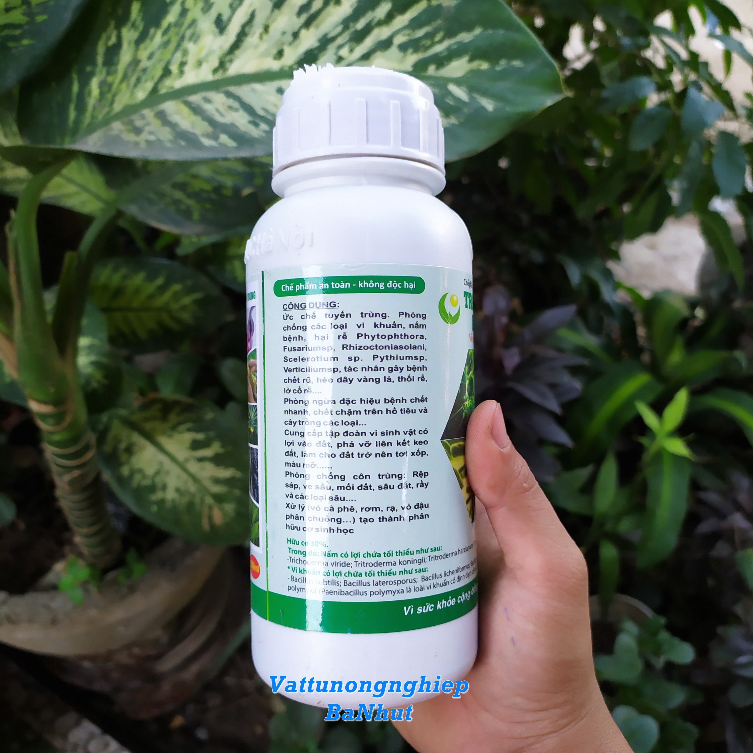 Chế Phẩm Sinh Học TRICHODERMA BACILLUS HLC (Dạng Nước) 500ML - Ủ Phân Chuồng, Tưới Cây, Đối Kháng Nấm Bệnh