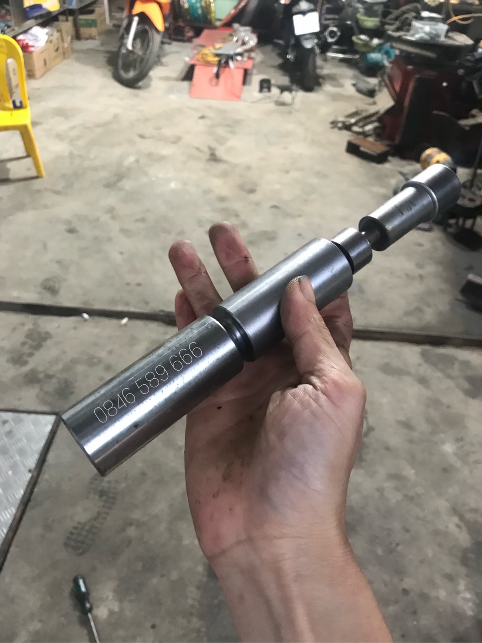 Vam Bạc Càng (cảo bạc gâp)