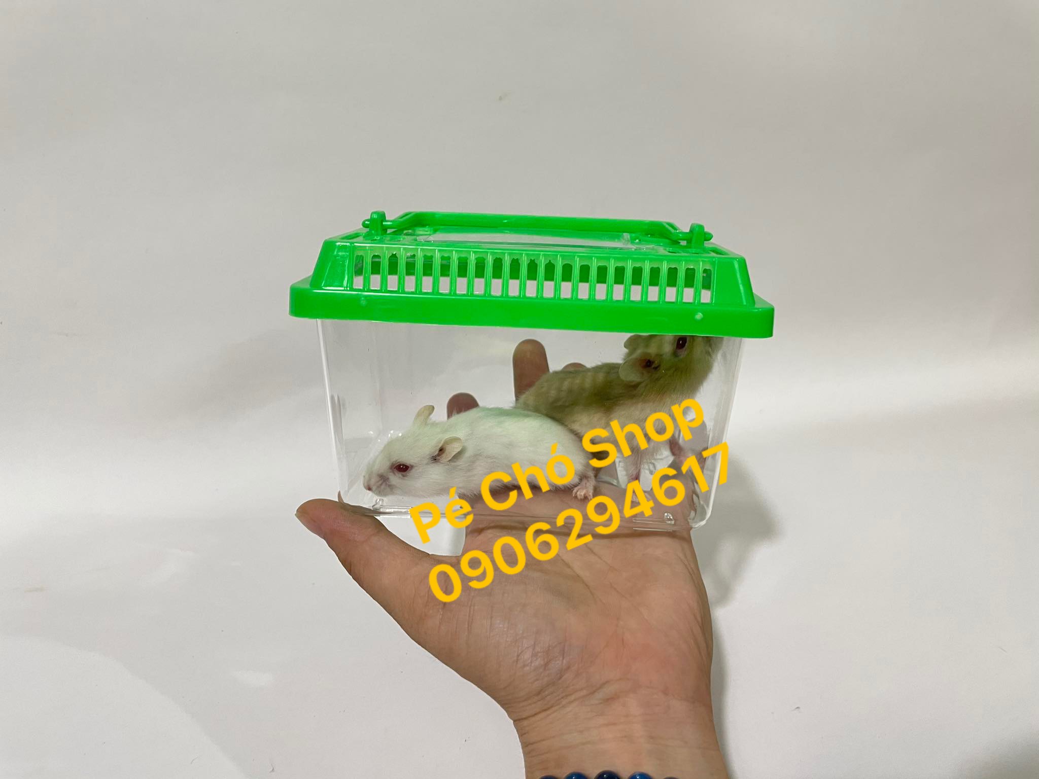 [HCM]Hộp Mika vận chuyển thú cưng nhỏ bò sát(size dài 13cm rộng 7cm cao8 cm)