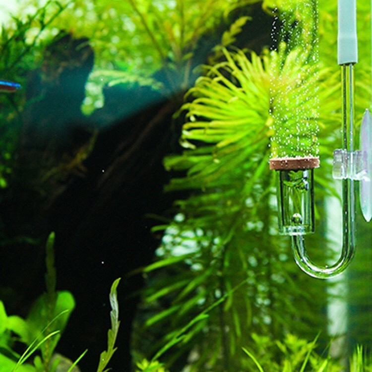 Sủi CO2 Siêu Mịn Cool Now - CO2 Diffuser