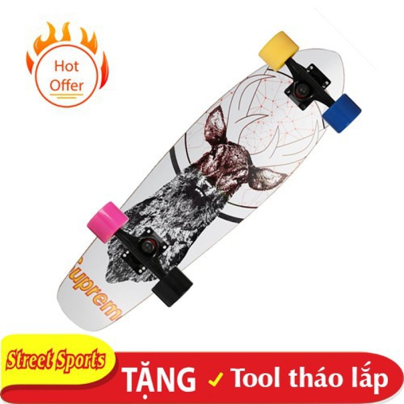 Giá bán Ván trượt Penny cool 31 .tặng kèm tool