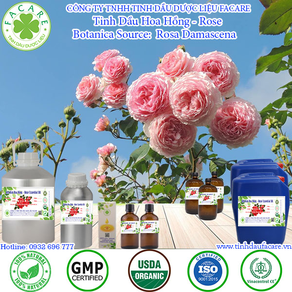 Tinh dầu Hoa Hồng rose essential oil - 10ml