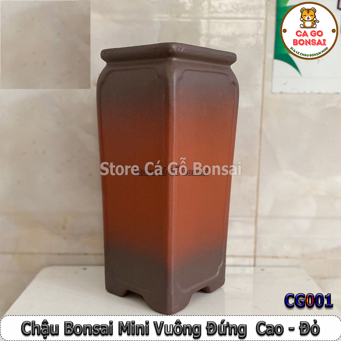 Chậu Bonsai Mini Vuông Đứng Cao Đỏ - CG001