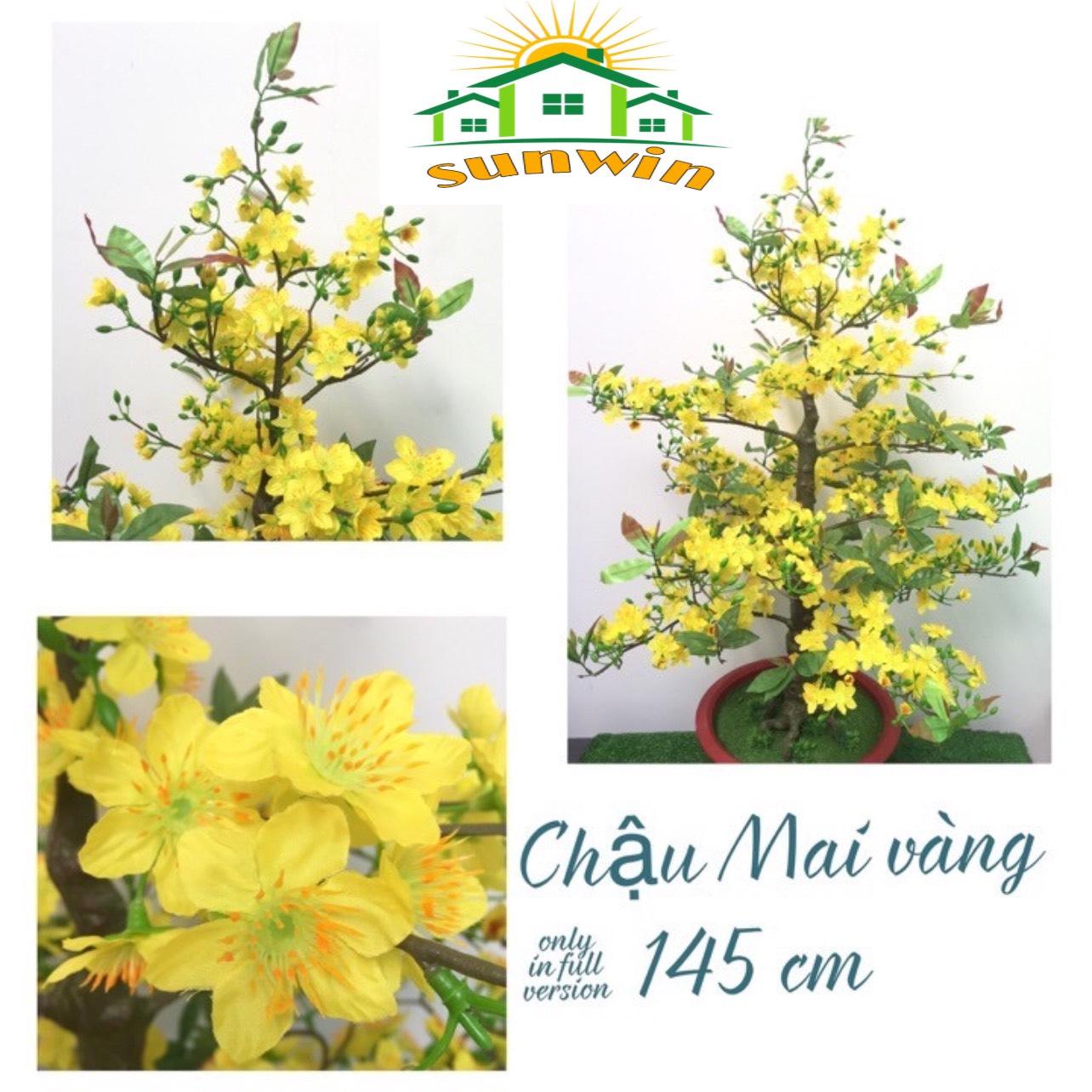 Cây Hoa Mai Nhựa Trang Trí Tết Cao 145cm Bao Gồm Chậu - Quà Tặng Bao Lì Xì Treo Cây