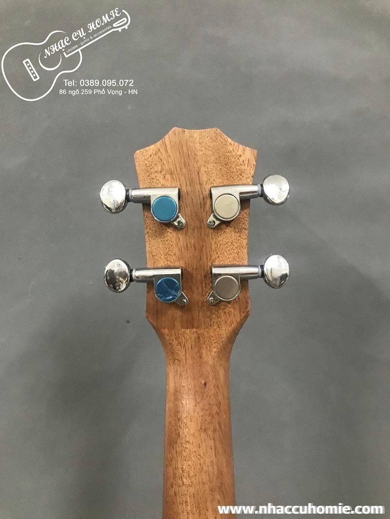 ĐÀN UKULELE CONCERT 23 TRƠN