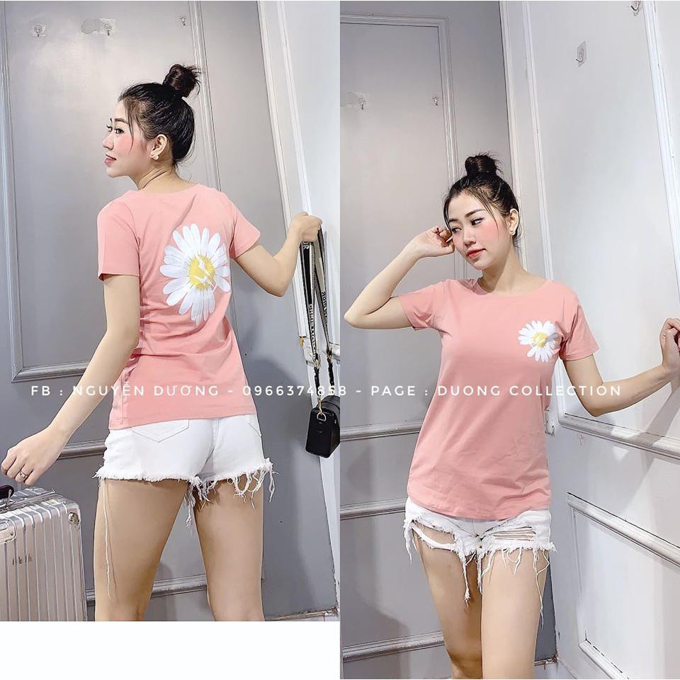 Áo phông hình hoa CÚC HỌA MI