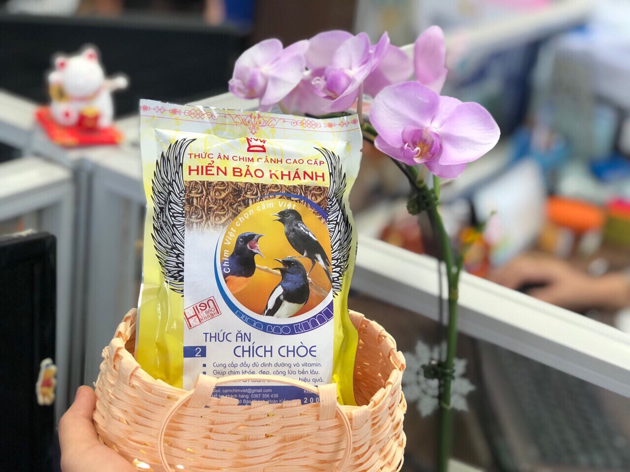 Cám chim Chích Chòe số 1 Hiển Bảo Khánh
